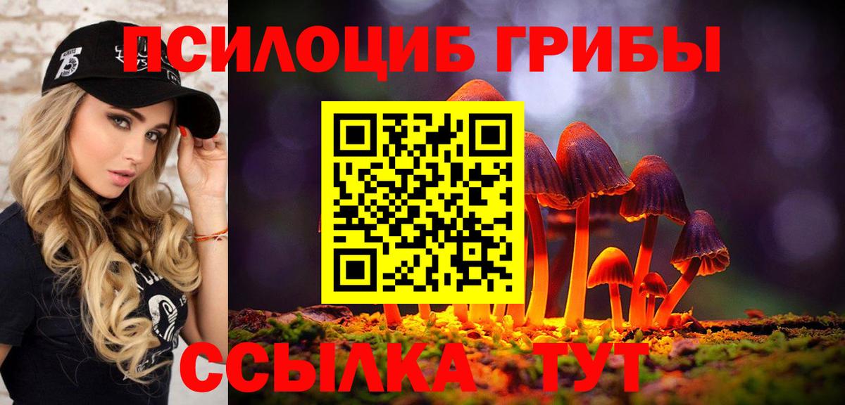 Псилоцибиновые грибы Psilocybe Донской