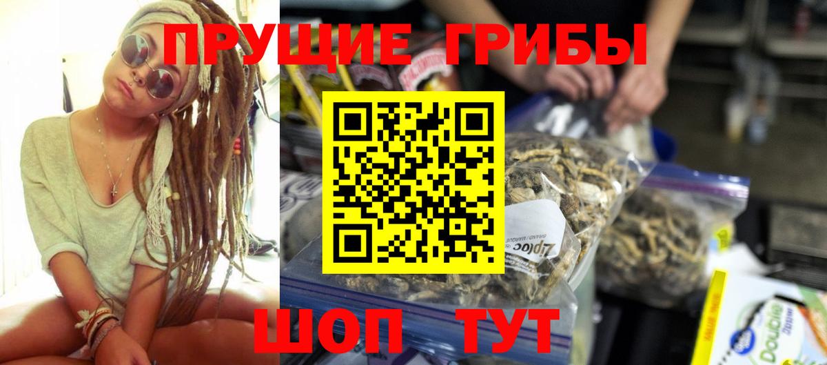 Псилоцибиновые грибы мухоморы  купить  сайты  Донской  Вход с VPN  Галлюциногенные грибы Cubensis 