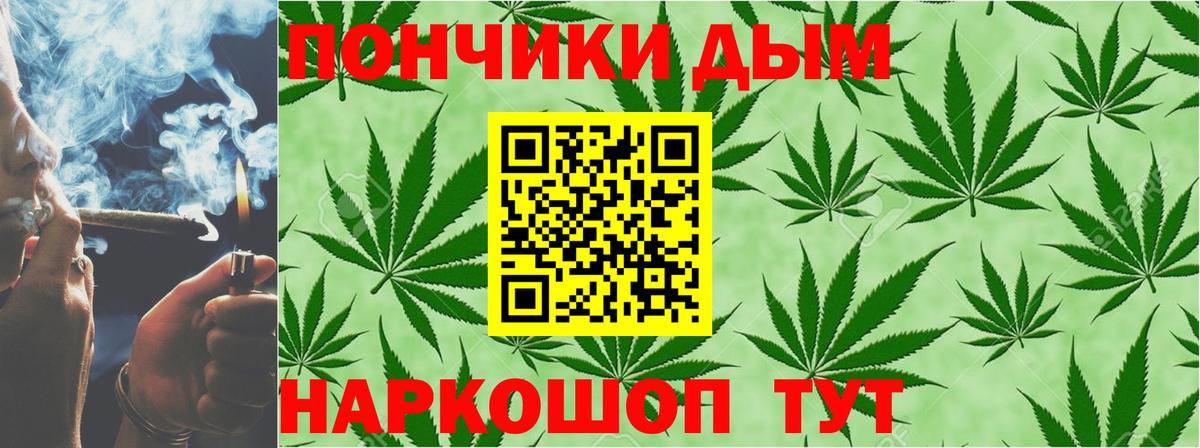 Конопля OG Kush Донской